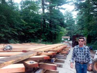 Man standing beside freshly milled timber beams laid out in forest clearing